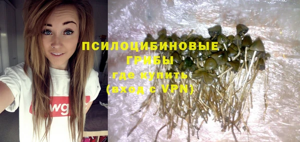 молекула духа Баксан