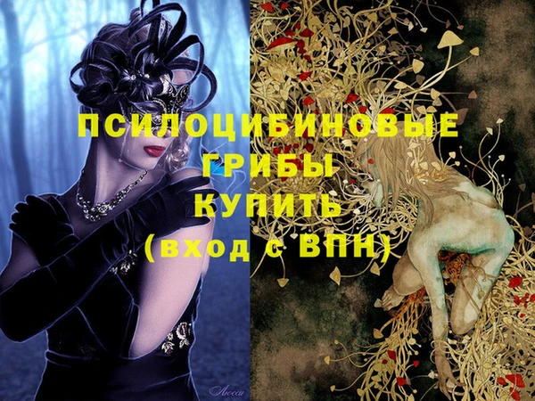 гидропоника Арсеньев