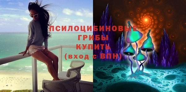 круглые Аркадак
