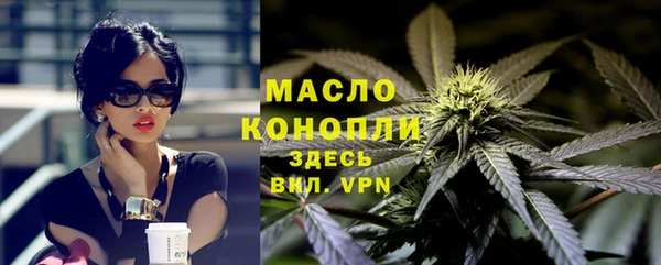 молекула духа Новодвинск
