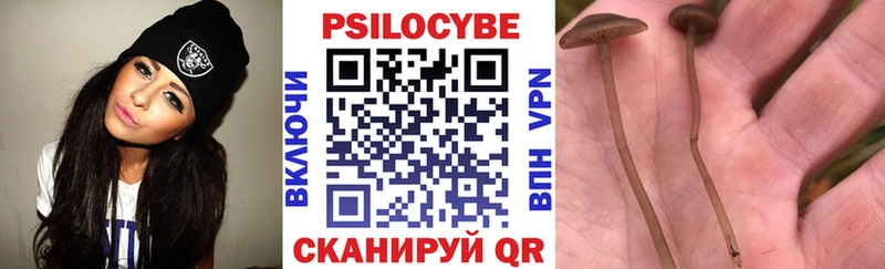 Галлюциногенные грибы Psilocybine cubensis  что такое   Семилуки 